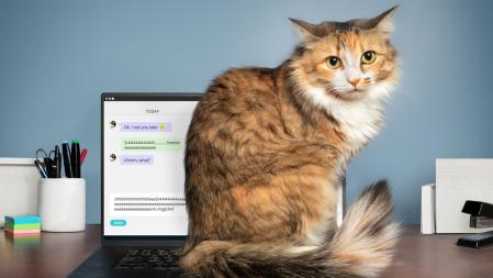 El nuevo estudio revisa literatura científica y replica diversas pruebas comparando diversas especies y subespecies de felinos  .