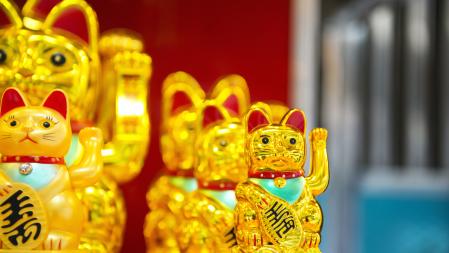 Gato dorado típico de China