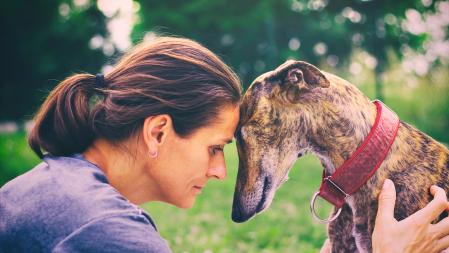 Una mujer con su galgo
