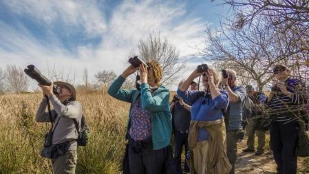 La afición por avistar aves esta muy extendido en los países anglosajones, muchos viajeros británicos y norteamericanos hacen muchos kilómetros para ver alguna especie determinada.