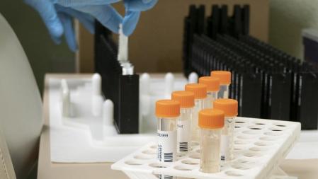 España es uno de los países con más casos registrados