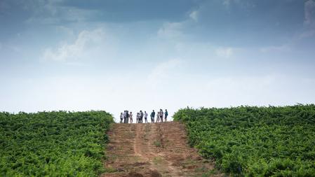 La bodega ofrece una visita vip para conocer de cerca la elaboración y producción del vino