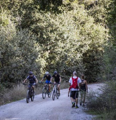 La Generalitat reabre el acceso a Collserola para actividades de ocio y deportivas