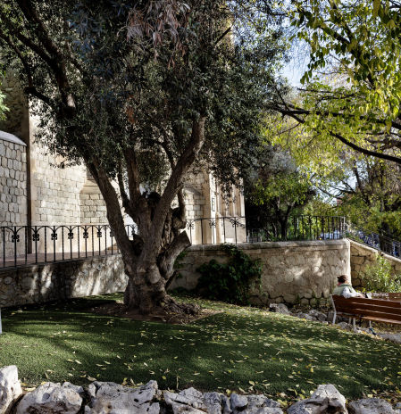 El camino de Santiago se extiende hasta Santa Coloma de Gramenet