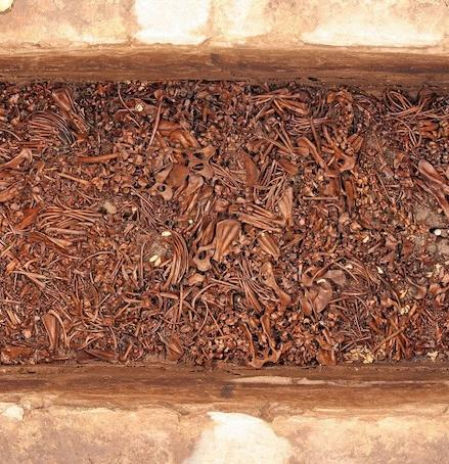 El zoológico de Moctezuma era un recinto para bestias salvajes enfermas que se habrían utilizado como “alimento para los dioses”