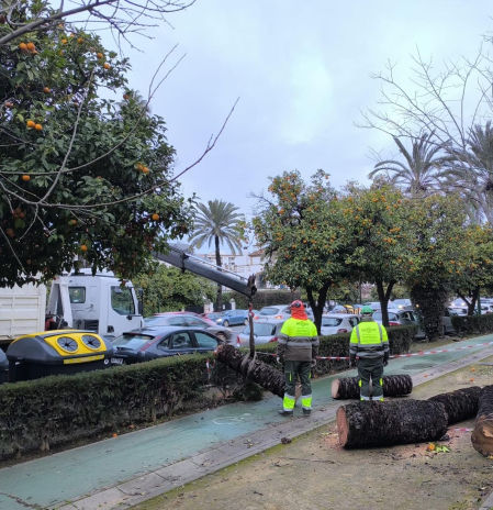 Andalucía suspende las clases salvo en Almería y sitúa Sevilla en alerta ante el temporal Leonardo