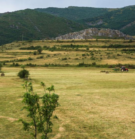 Una herramienta con inteligencia artificial mide en minutos el CO₂ que absorben las fincas rurales