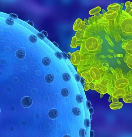 ¿Cómo funciona un virus?