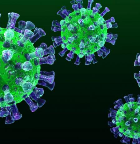 ¿Qué es un coronavirus?