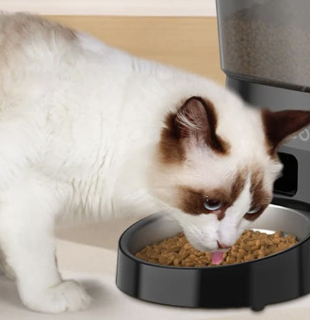 El comedero automático que nunca deja a tu gato con hambre, ni cuando estás lejos