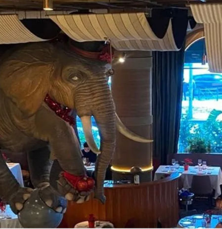 El Ayuntamiento de Madrid prevé limitar el uso de bengalas en restaurantes y lugares de ocio