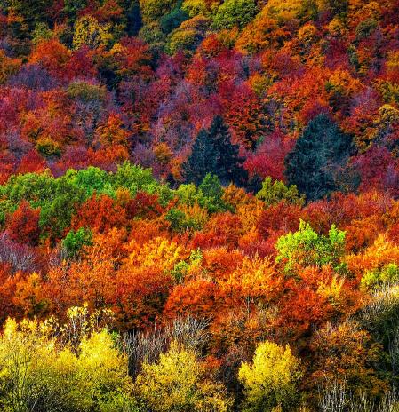 FotoDocs: Los paisajes de la Vall d’en Bas