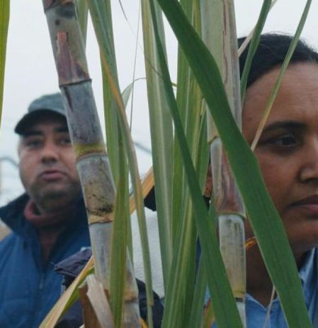 ‘Historias del buen valle’ (★★★★★): un poeta visita Vallbona, y otros estrenos de la semana