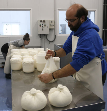 Formatges Camps estrena obrador en Palau d’Anglesola