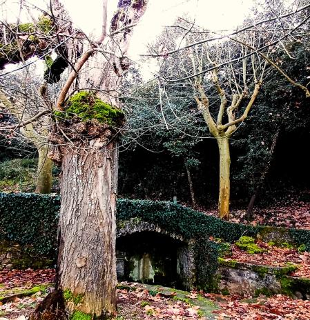 FotoDocs: La fuente de Talamanca