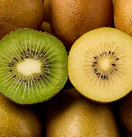 ¿Existen grandes diferencias nutricionales entre el kiwi verde y el kiwi amarillo?