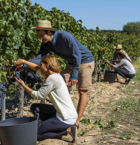 La temporada de vendimia es un momento perfecto para realizar actividad al aire libre y disfrutar en familia