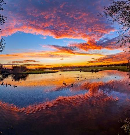 Candilazo en los Aiguamolls del Empordà.