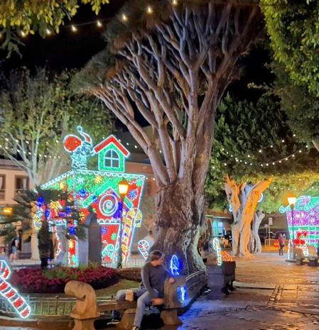 La iluminación navideña de La Laguna.