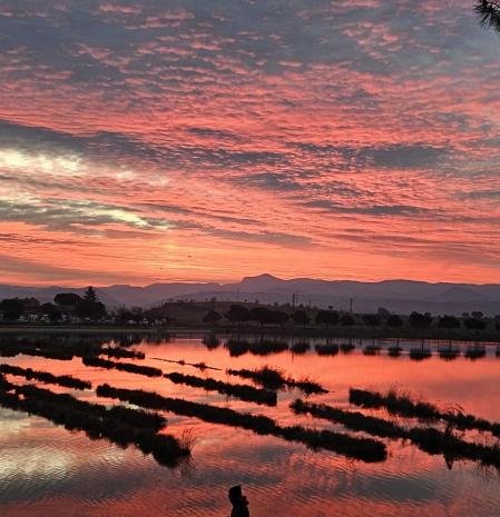 Los reflejos rojos del Parc de l'Agulla al amanecer.