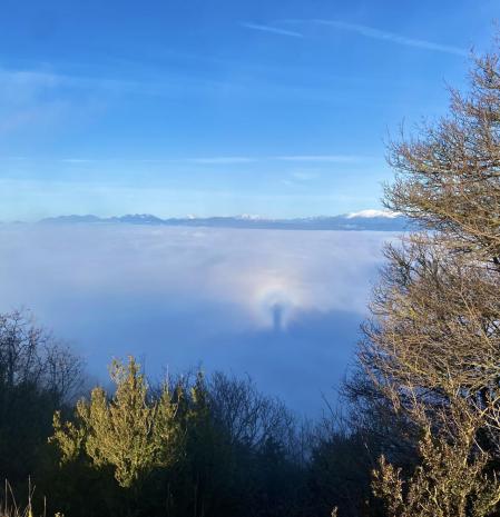 Espectro de Brocken en Bellmunt, imágenes captadas por el lector Joel Bares. El espectro de Brocken tiene los colores del arco iris pero invertidos, mientras que el arco de niebla es blanco o con colores muy débiles y se puede formar, como en esta ocasión, alrededor del espectro. La razón de por qué se llama espectro de Brocken la encontramos en Alemania, donde, igual que ocurre en la comarca catalana de Osona, se producen frecuentes nieblas en el Brocken, un pico de los montes Harz.