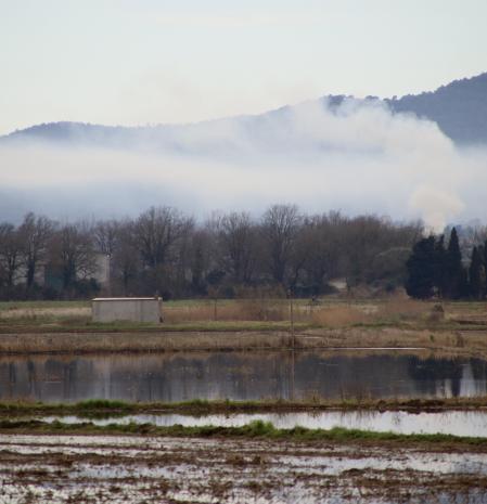 Humo en los arrozales de Pals.