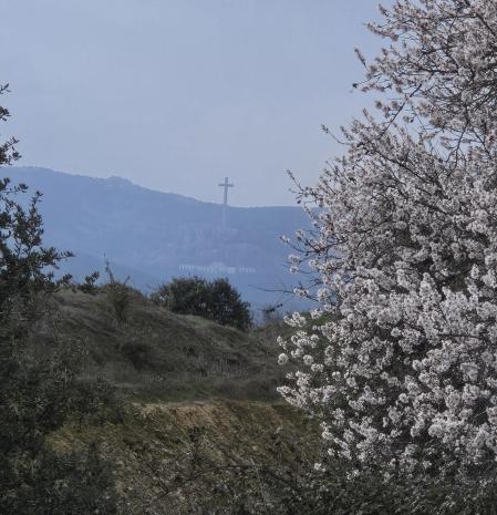 Almendros en flor frente al Valle de los Caídos.