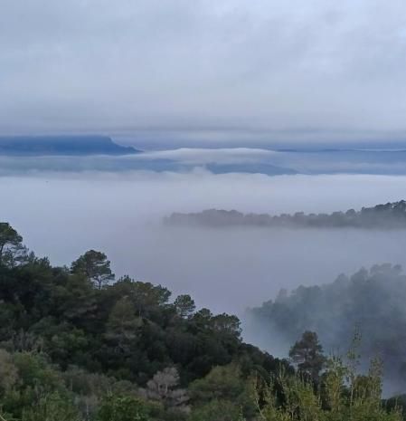 Montserrat desaparece entre la niebla.