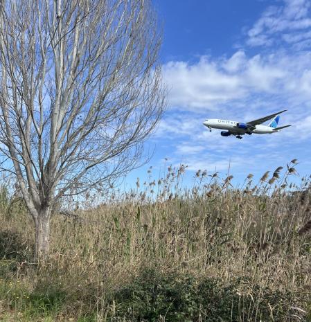 Avión sobrevolando los parajes naturales del Delta del Llobregat.