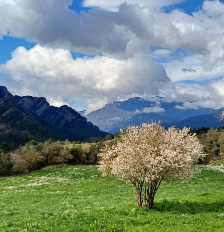 El paisaje suizo de Borredà.