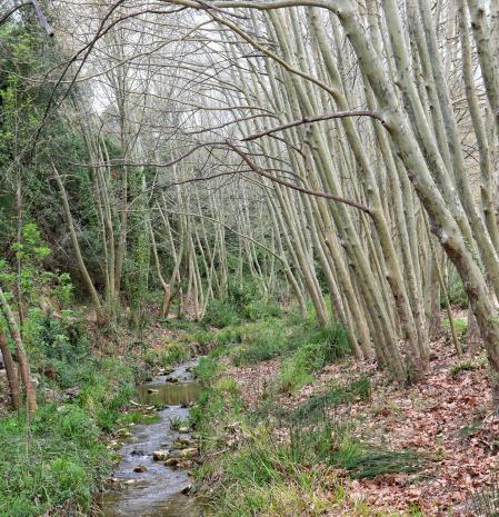 Les Dous en Torrelles de Foix.