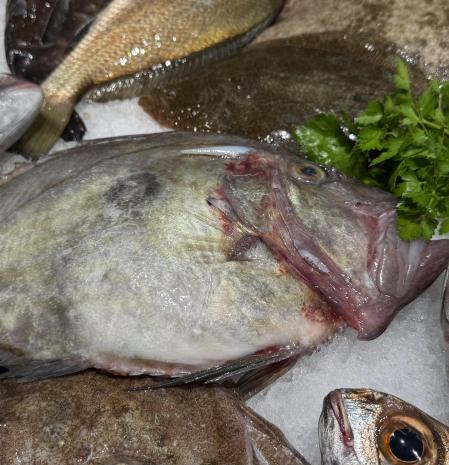 Pescado en el mercado de Palafrugell.