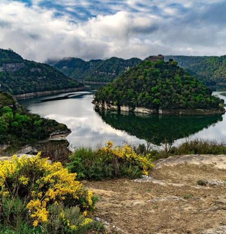 Primavera con agua abundante en el meandro del Ter.