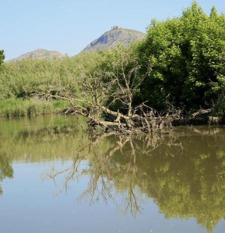 El Ter a su paso por Torroella de Montgrí.
