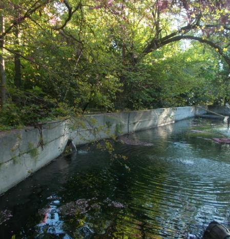 La vieja alberca de la Quinta de Torre Arias.