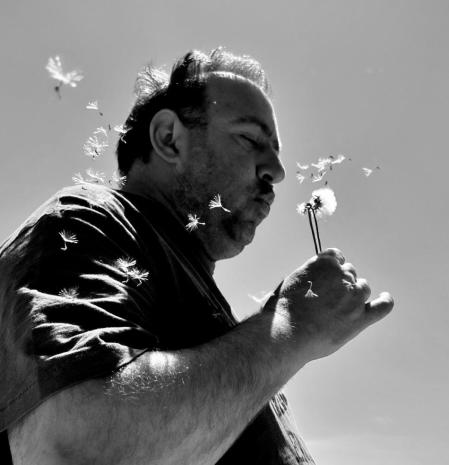 Soplando el diente de león.