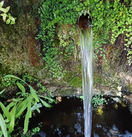 La Font del Rector de Mura.