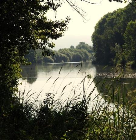 Vora Ter a su paso por Manlleu.