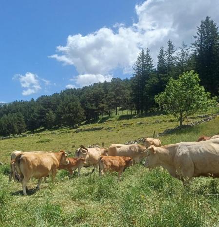 La Cerdanya rural.