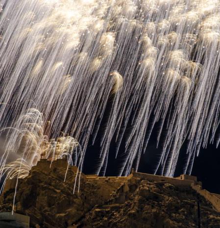 La gran palmera del Monte Benacantil.