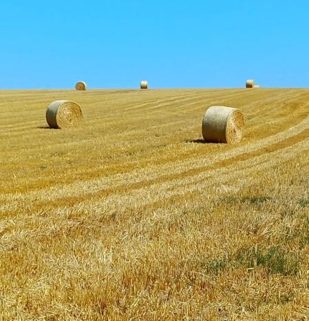El espectáculo de los campos segados del Solsonès.