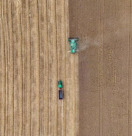 Siega en un campo de la Plana de Vic.