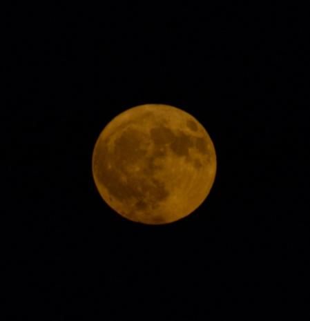 Luna del ciervo en La Ràpita.