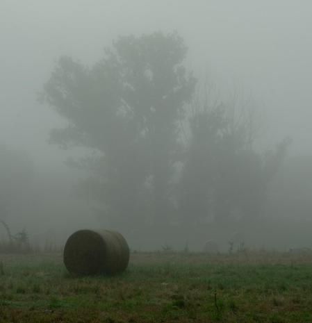 Niebla en el paisaje de Sant Pere de Torelló.