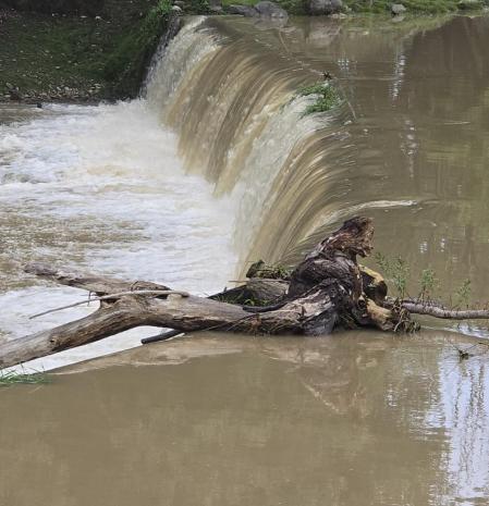 Crecida del Ter en Manlleu.