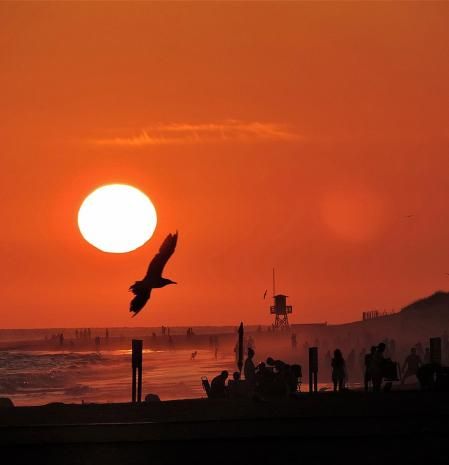 La puesta de sol de las gaviotas en la playa la Costilla en Rota.