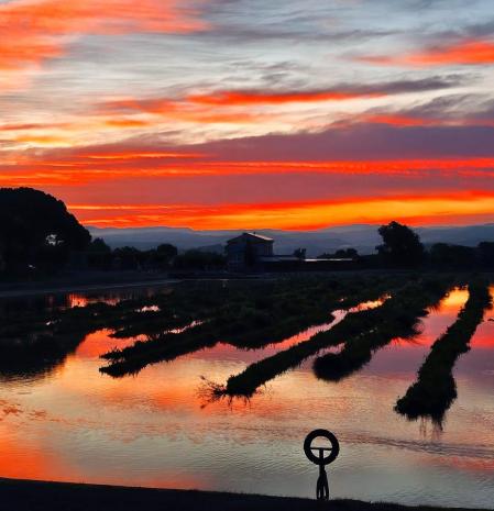 Amanecer en el Parc de l'Agulla.