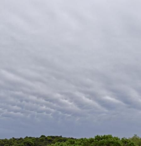 Stratocumulus undulatus con formaciones mamma observados en Sant Fost de Campsentelles.