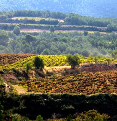 Otoño en Aiguamúrcia.