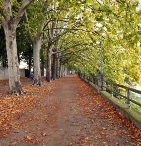 Otoño en el paseo del Vora Ter.
